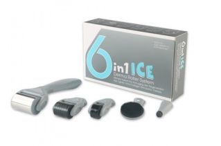 431B-84220 derma roller ice 6w1