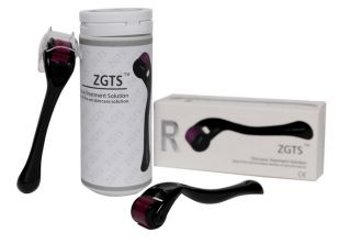 A582-28684_20191208145059 Derma Roller ZGTS 540 tytan